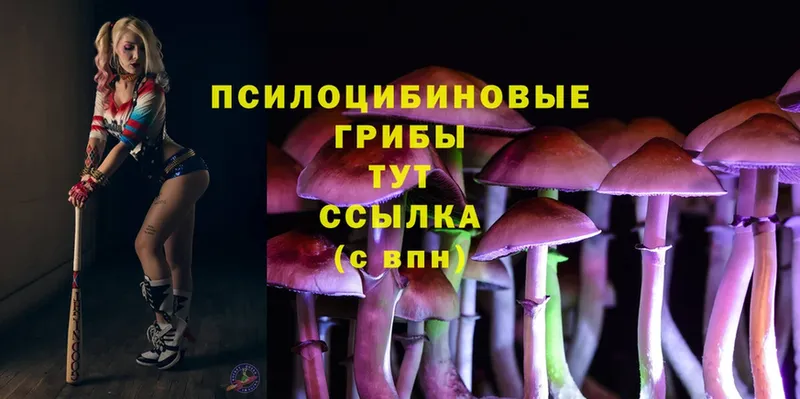 блэк спрут рабочий сайт  Новоуральск  Галлюциногенные грибы Cubensis 